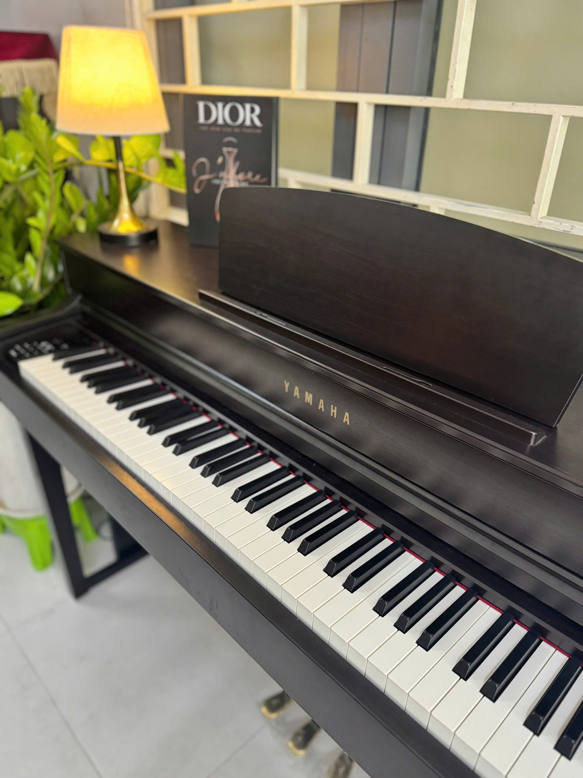 z7175277511337_fe8f9d82353b9d3a694ad579cd2970b4 z7175277511337_fe8f9d82353b9d3a694ad579cd2970b4