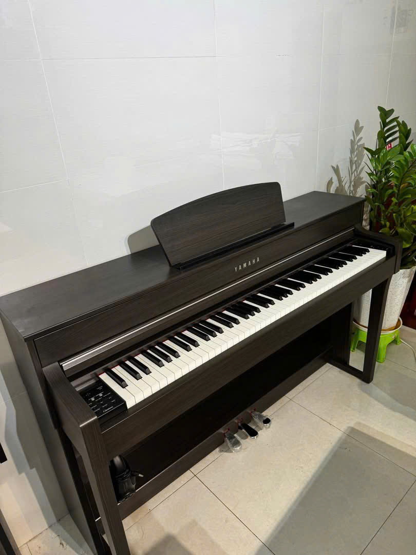 z7175277525033_6fe772c62f781efbc5b61ccf234ebba5 z7175277525033_6fe772c62f781efbc5b61ccf234ebba5