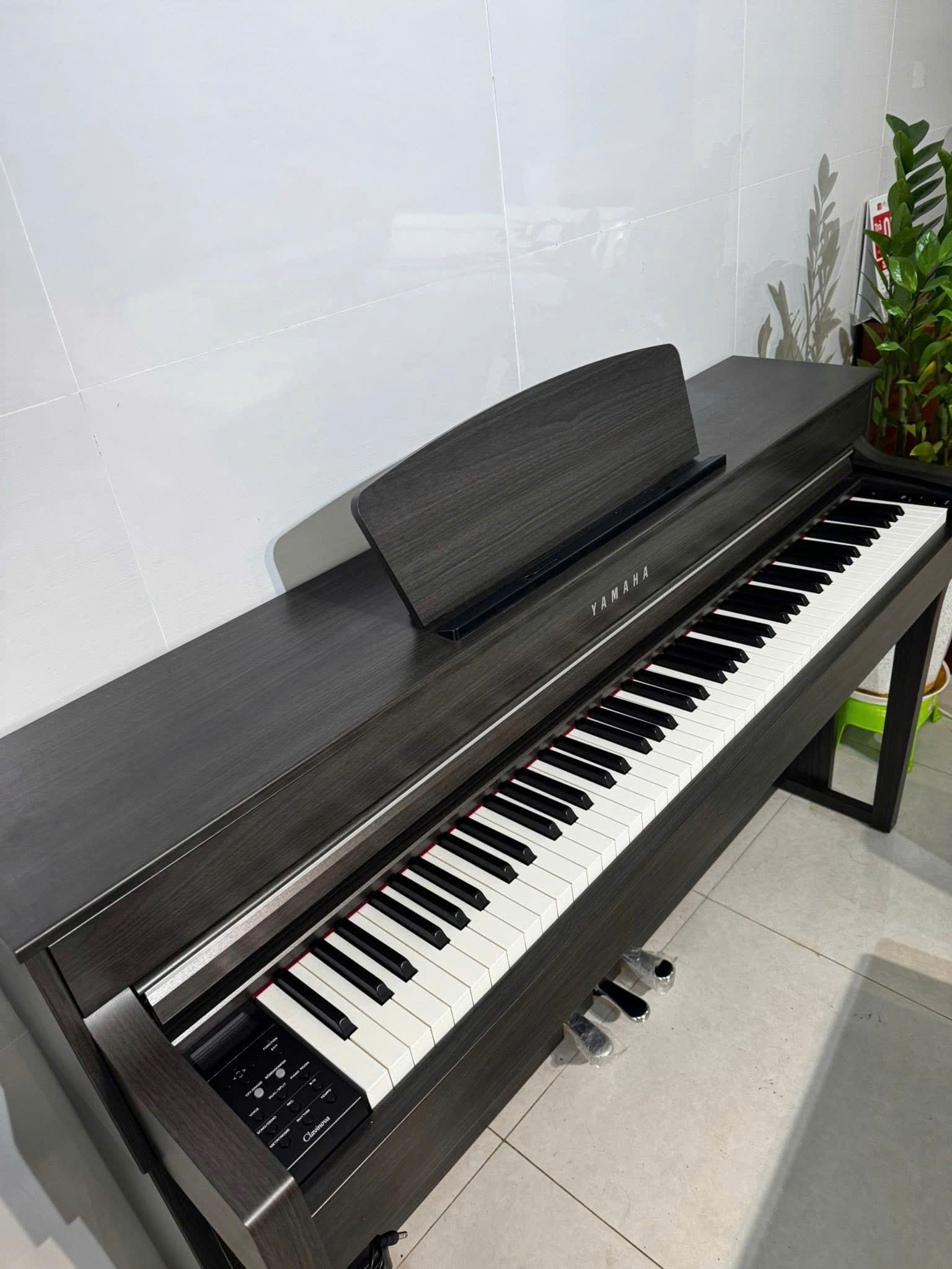 z7175277536253_6772b9dd8d71356a58a49cc770f8d6d0 z7175277536253_6772b9dd8d71356a58a49cc770f8d6d0